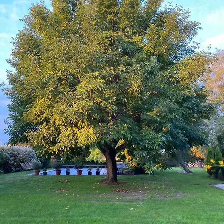 فندق مبيت وإفطار Le Clos De Benedicte Bondues