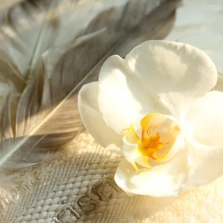 Le Clos De Bénédicte Bondues