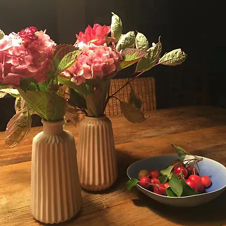 Le Clos De Benedicte