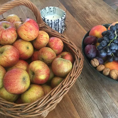 Le Clos De Benedicte 4*